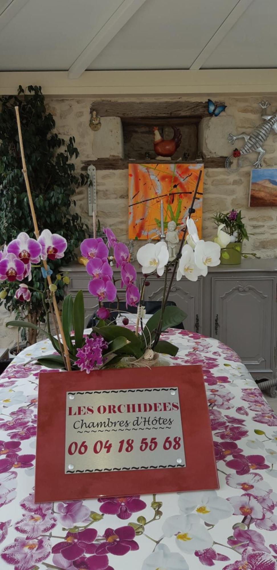 Les Orchidees Chambre Hotes Futuroscope Chasseneuil Poitiers ジョネ・クラン エクステリア 写真